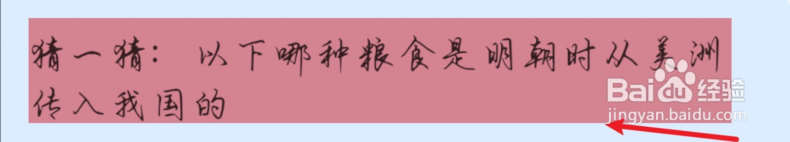 蚂蚁庄园以下哪种粮食是明朝时从美洲传入我国的