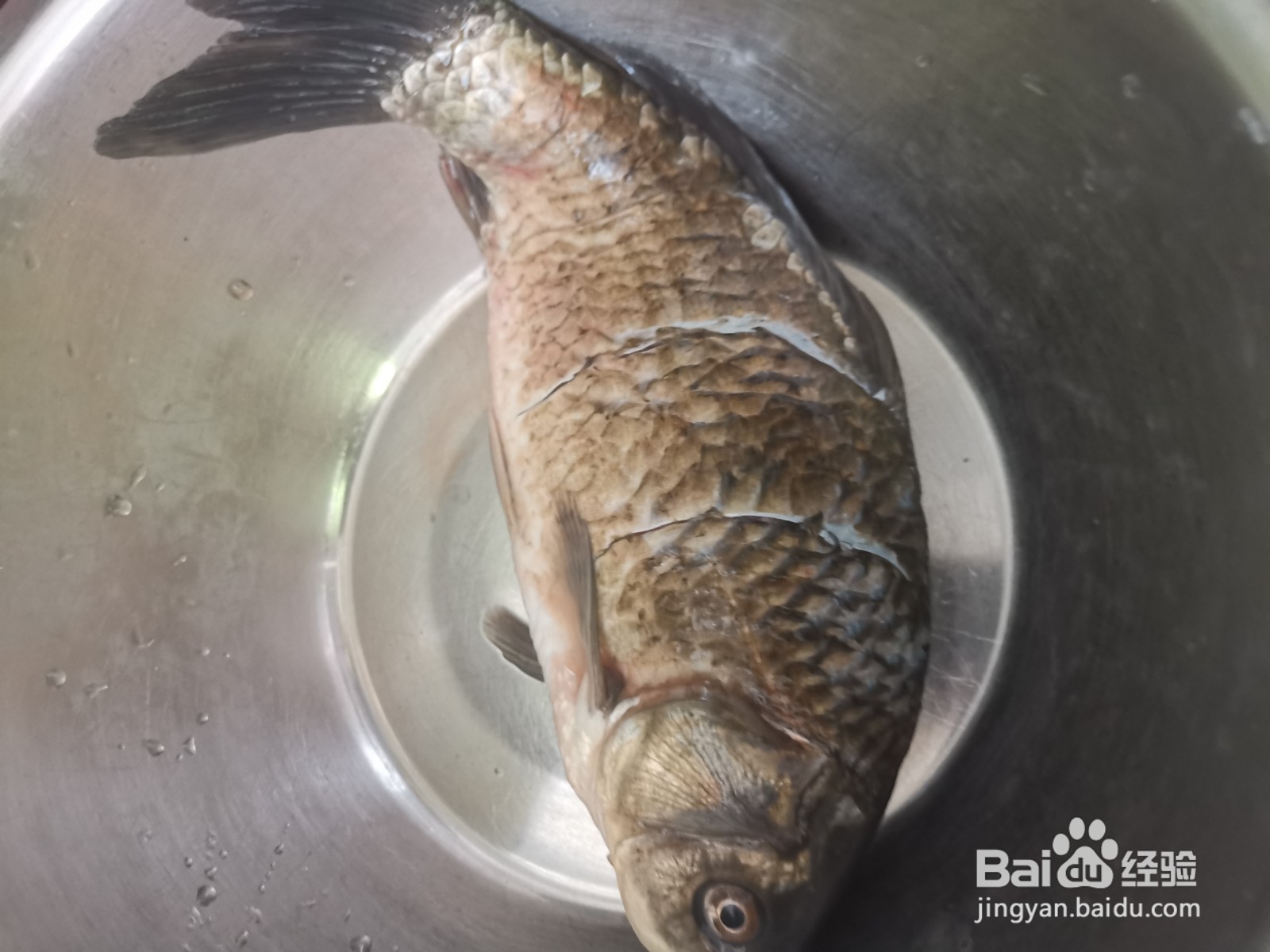 豇豆茄子炖鲫鱼