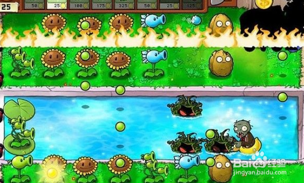 植物大战僵尸泳池5-6关攻略