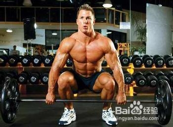 如何有效地锻炼肌肉