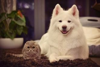 学生能做的最好的兼职工作有哪些?