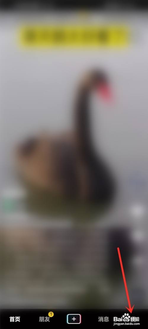 如何参加抖音公益活动