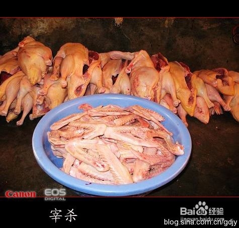 <b>沙县小吃中板鸭的制作方法</b>