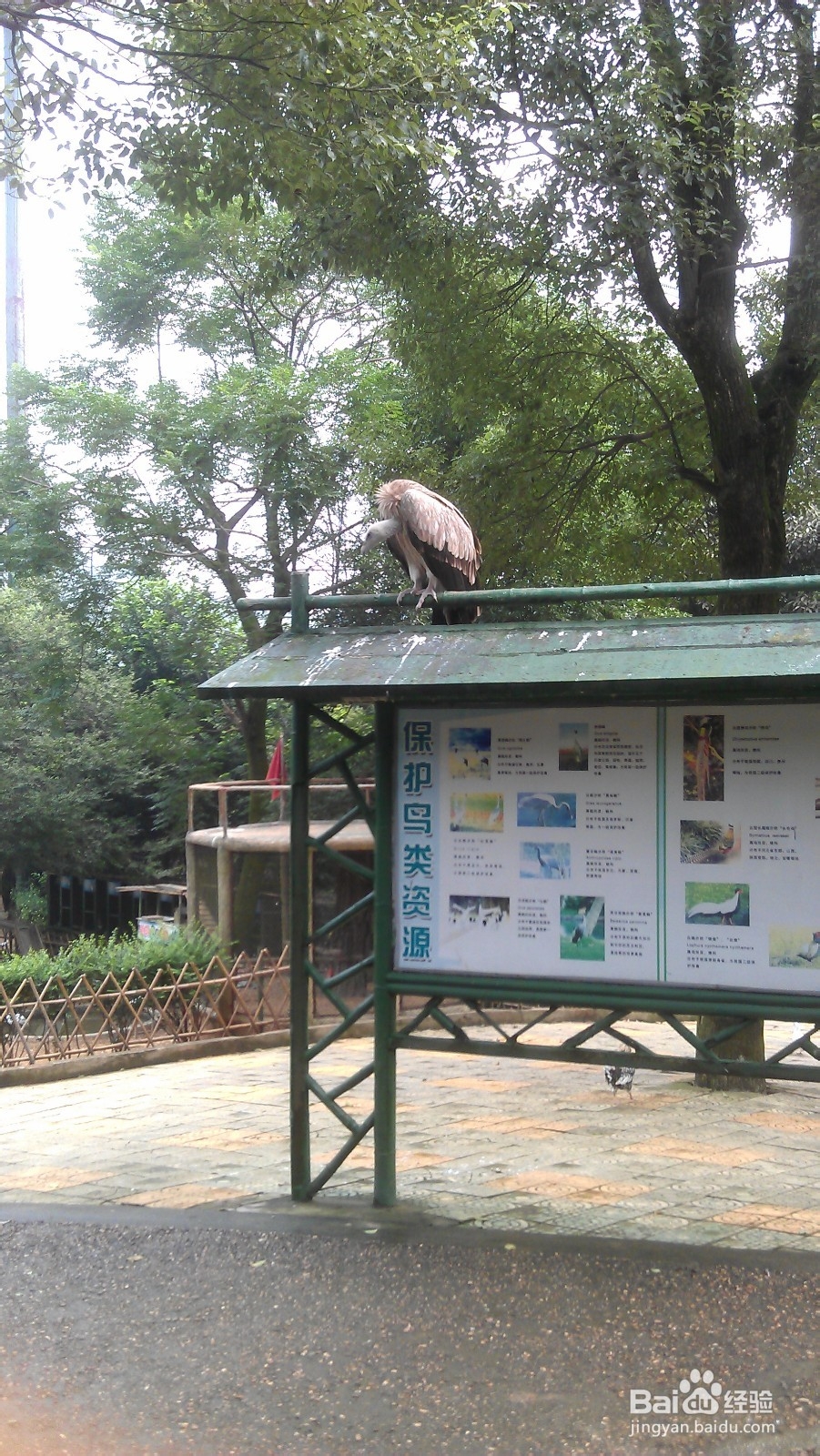 百元游长沙攻略