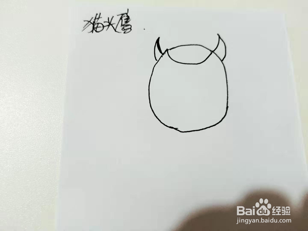 卡通猫头鹰简笔画怎么画呢