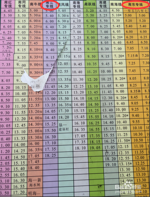 崇明岛东平国家森林公园旅游攻略