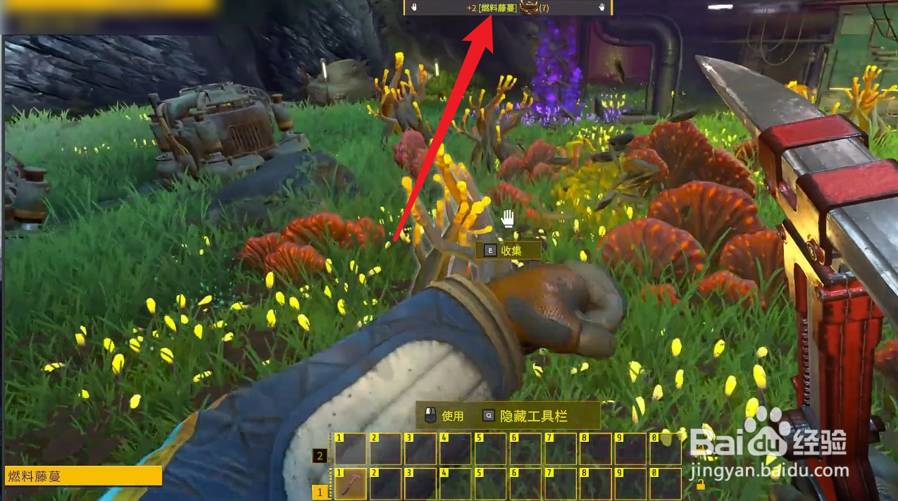 星核工厂燃料藤蔓怎么获得