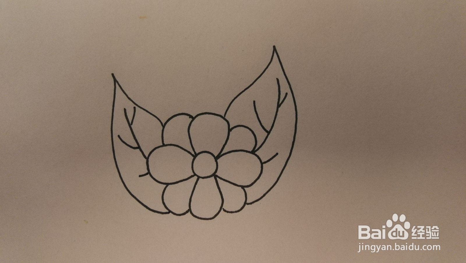 #经验分享官#花朵和叶子简笔画