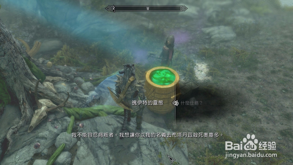 上古卷轴5唯一的治疗方式任务