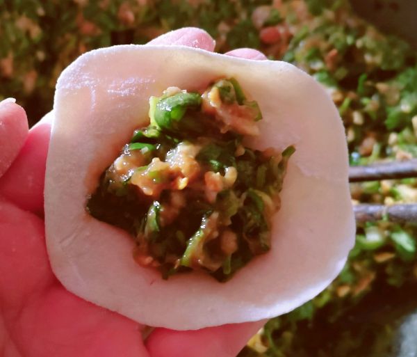 酱香鲜肉香菜水饺