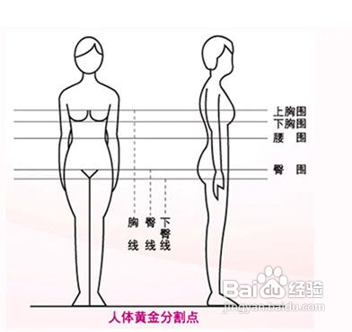 怎样看待人体美学问题