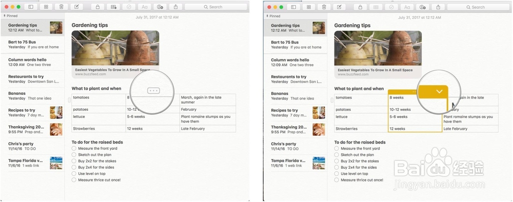 macOS High Sierra中使用Notes中的表
