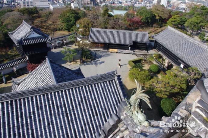 日本高知旅游攻略