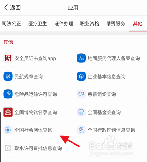国家政务服务平台如何查询全国社会团体
