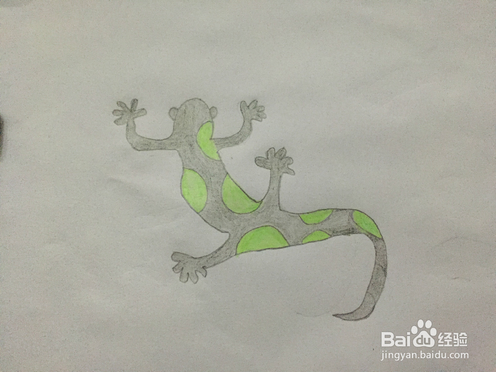 画画——画壁虎