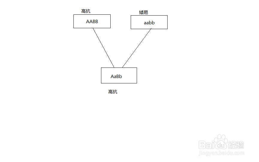 杂交育种的步骤