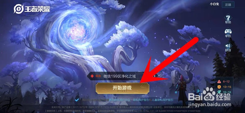 王者荣耀智极奇点称号怎么获得