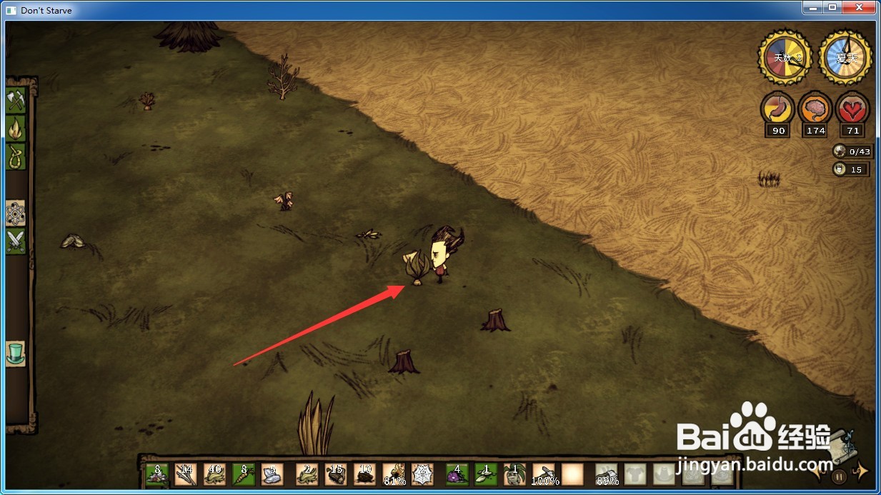 饥荒曼德拉草哪里有