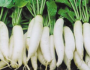 轻食主义到底是什么呢?