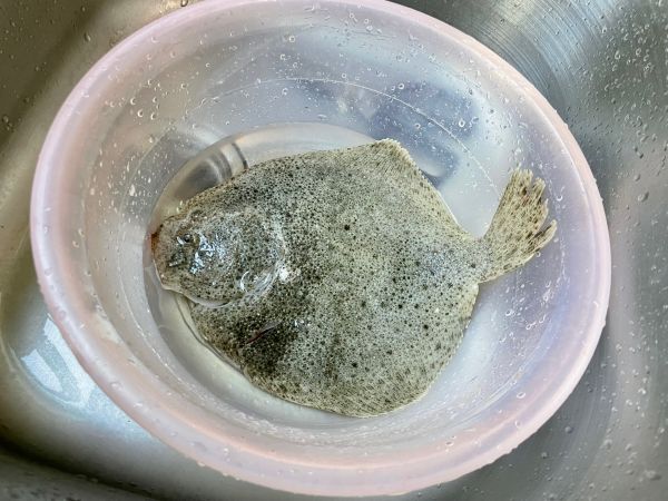 清蒸葱油多宝鱼