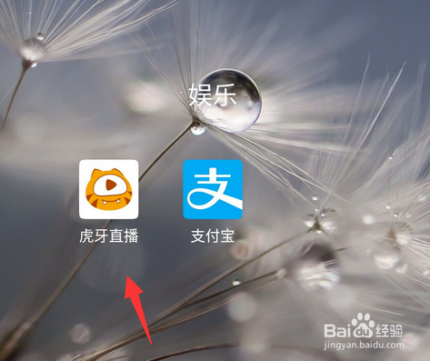 虎牙直播如何设置登录保护