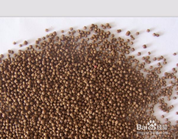 颗粒饲料制作方法