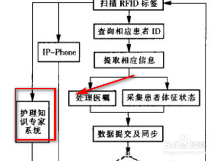 归纳护理程序的基本步骤及主要内容