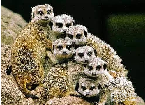 团建照如何拍出大片的质感