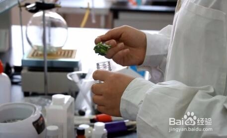 如何来选择重庆小面50强加盟品牌呢?