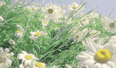 春节为什么容易产生皮肤问题?怎么缓解?