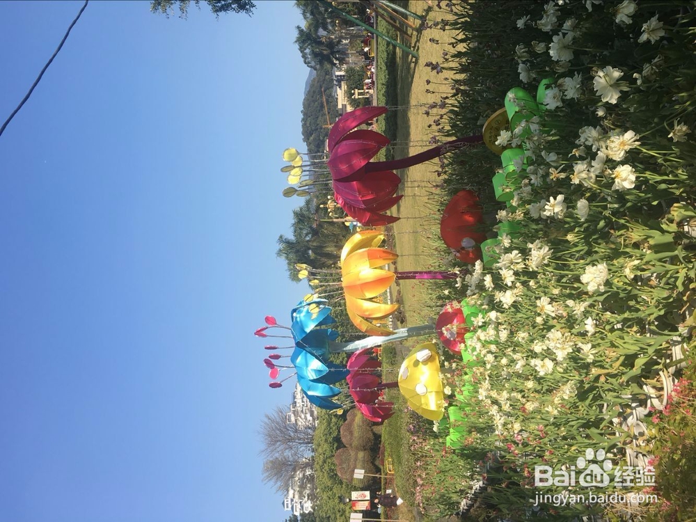 福州温泉公园花灯游