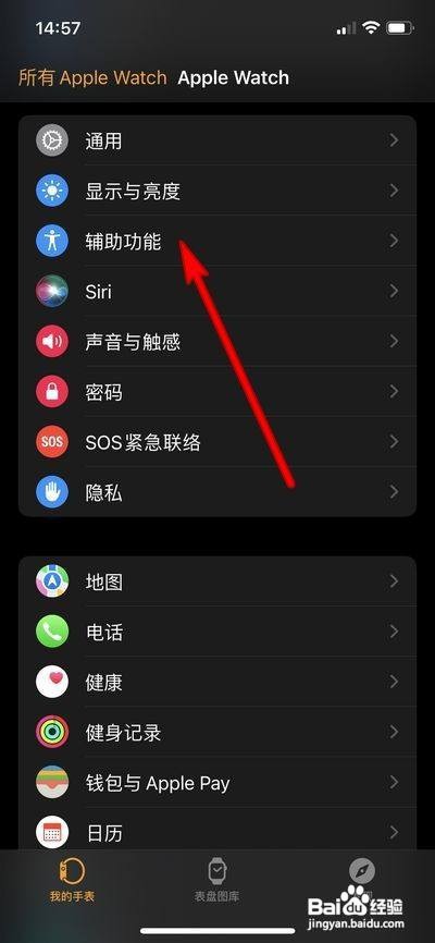 苹果手表怎么打开缩放