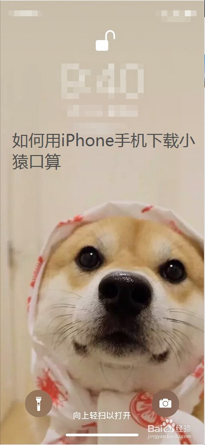 如何用iphone手机下载小猿口算 百度经验