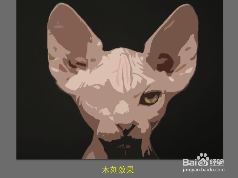 Photoshop 如何创建图像的木刻效果