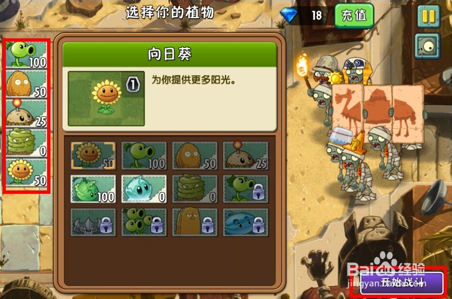 植物大战僵尸2：第2天的种子保卫战