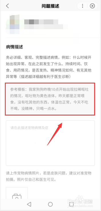 猫咪精神不好食欲不振怎么办