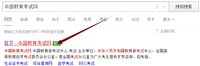 英语四六级成绩查询.