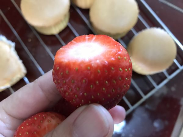 圣诞树纸杯蛋糕