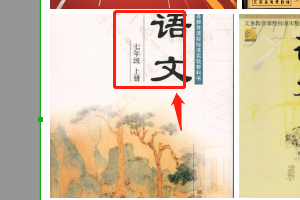 补习语文哪里好