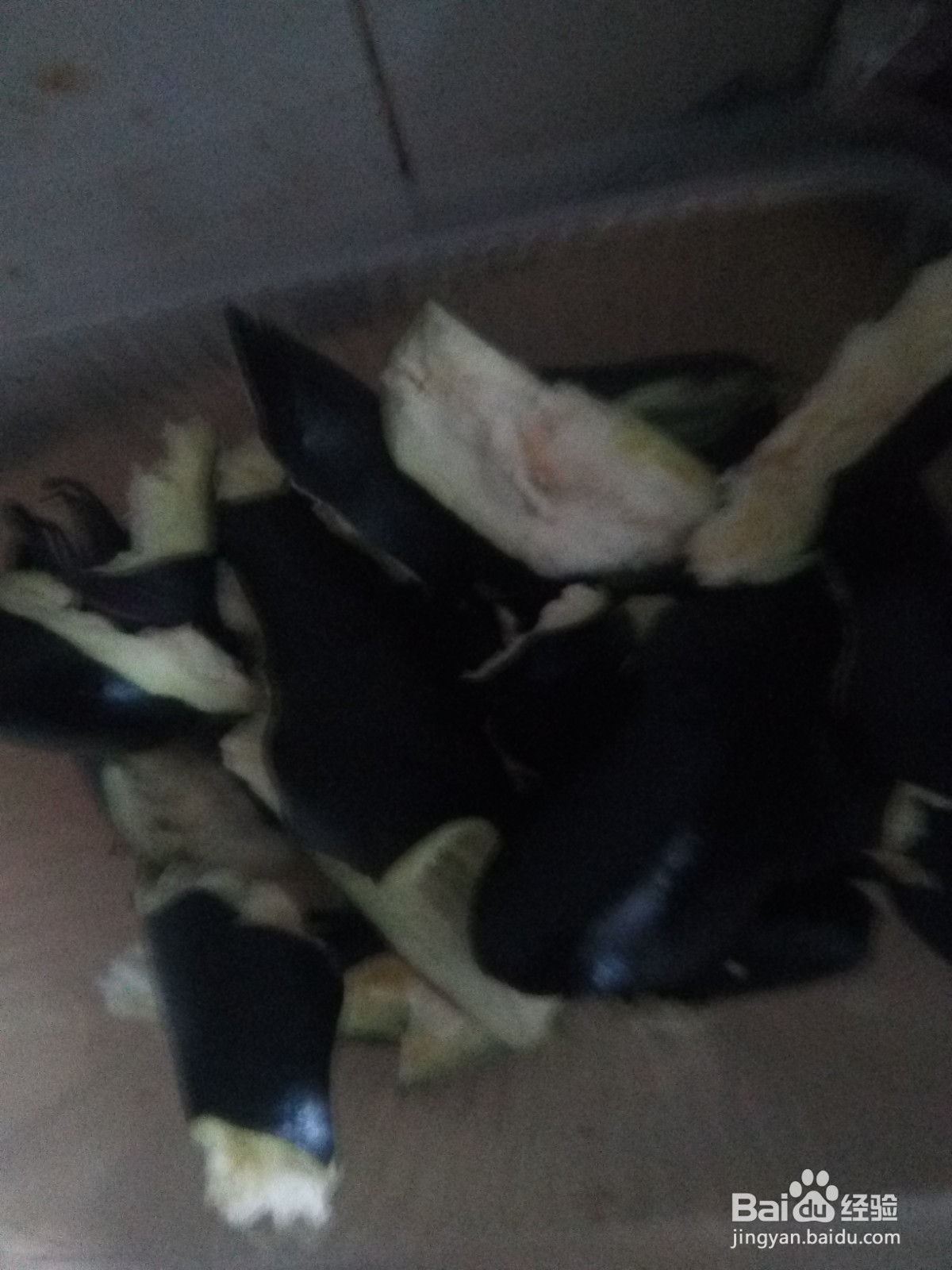 土豆豆角炖茄子
