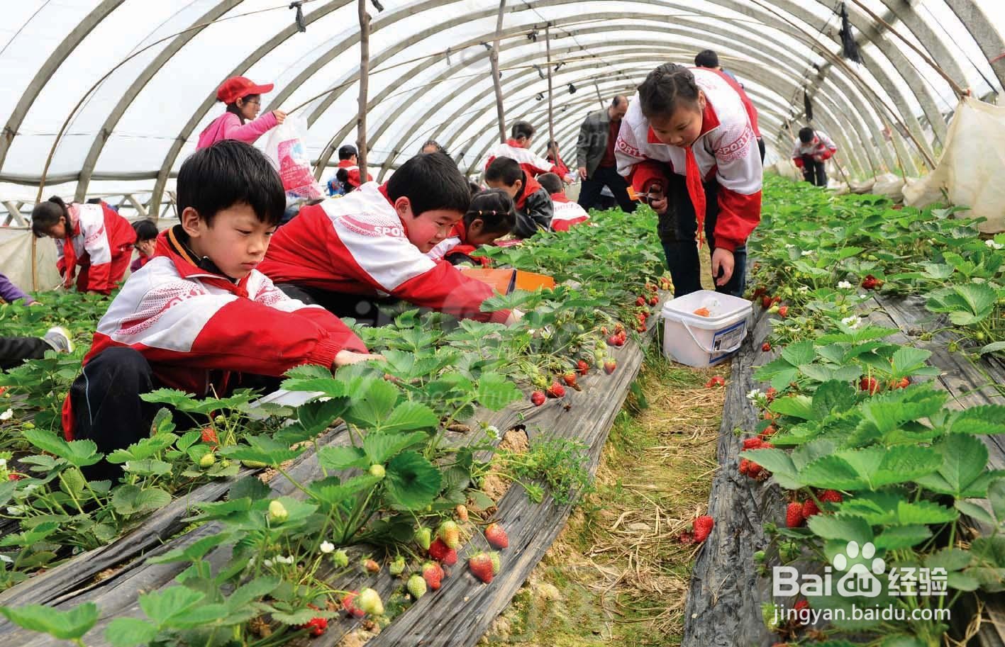 如何让孩子充满爱心，远离冷漠。