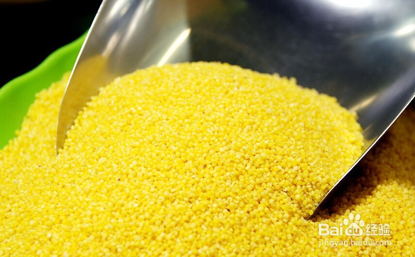 痛风吃什么食物最好