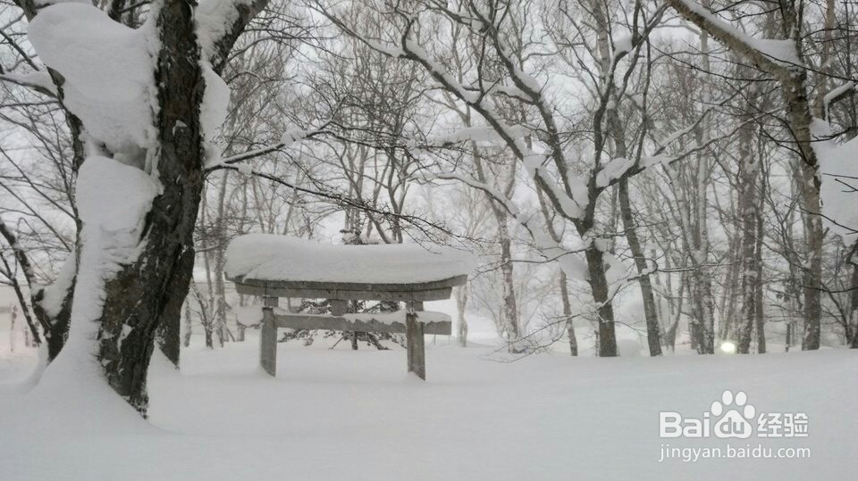 小樽市的旅游指南