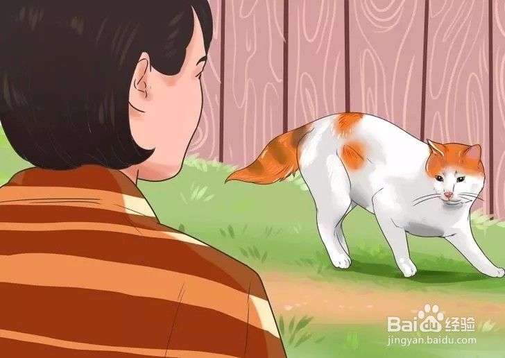 怎样驯服野猫