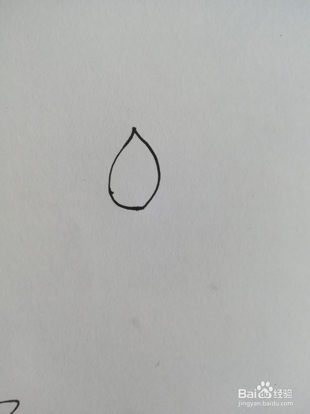 怎么画荷花的简笔画，荷花的简笔画