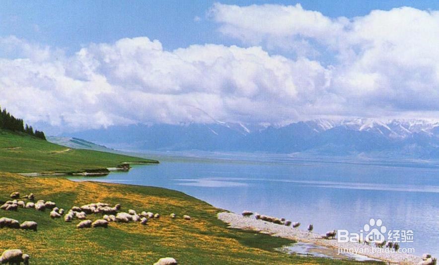 高中语文提分攻略