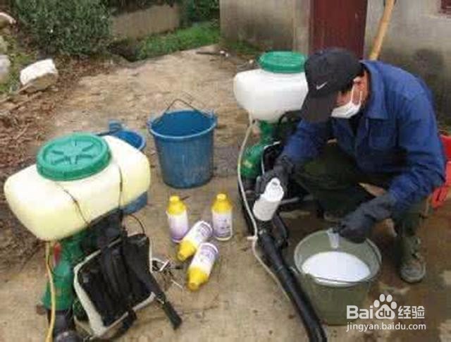 农药稀释和混配,只要牢记这3点,效果棒棒的