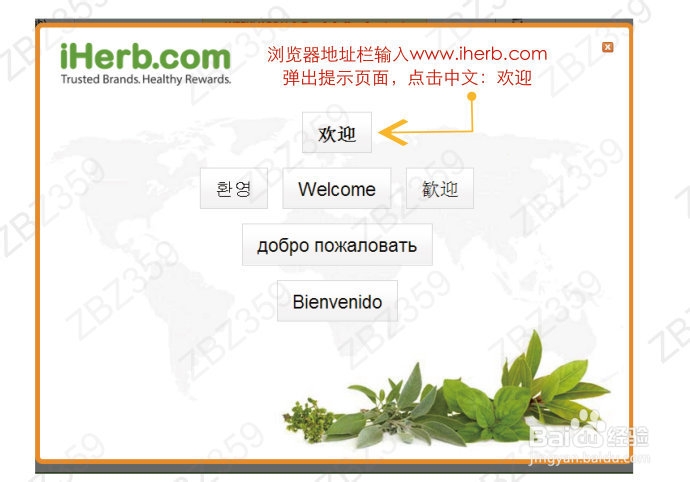 海淘攻略：[2]美淘