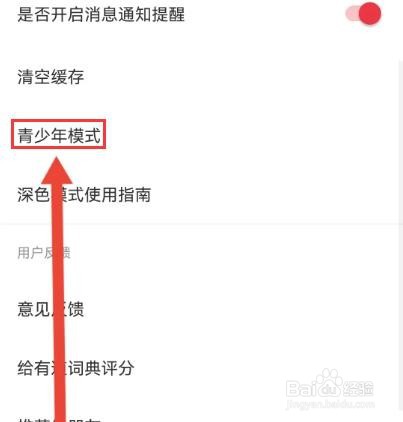 网易有道词典怎么设置青少年模式