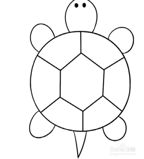 简笔画：翩翩起舞的蜻蜓和乌龟的绘画步骤